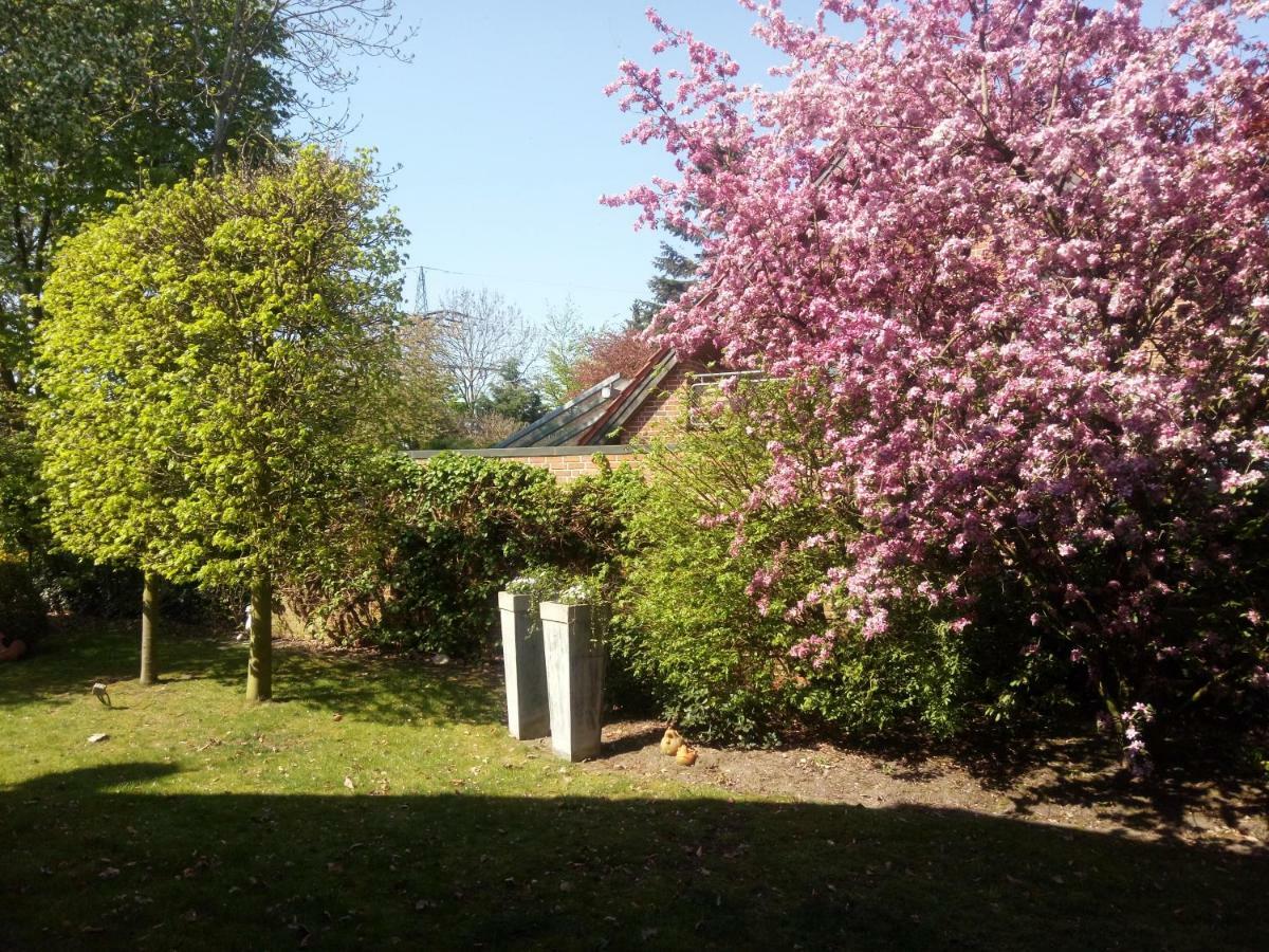 Apartment Am Vechtesee Schuettorf Eksteriør bilde